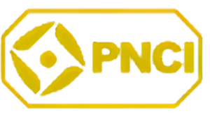 Power Network and Care Inc.